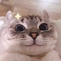 Đa NV*lontuoi