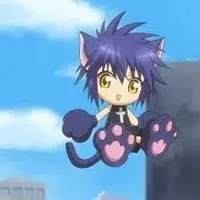 yoru