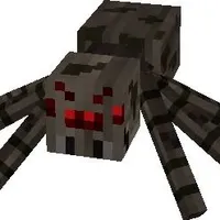 spider