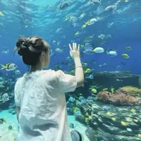 hạ nhiên
