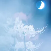 Hạ Hạ {Thánh Lam Nữ Thần}