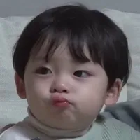 Võ Nguyên Anh.