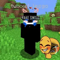 twixxel
