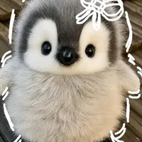 chip