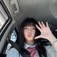 Nguyễn Lê Ngọc Ánh Sáng