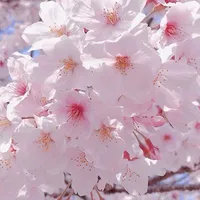 Quỷ