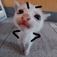 𝘛.𝘨 𝘬𝘦̀𝘮 𝘩𝘦̣̂ 𝘵𝘩𝘰̂́𝘯𝘨