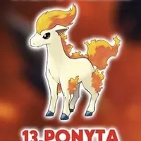 ponyta