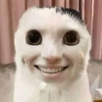 ai cx đc