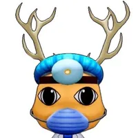 Surgeon