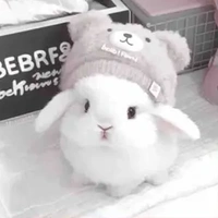 t/g kawaii đáng iu😘😘
