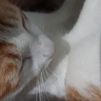 Ai bt j âu 