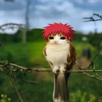 gaara