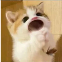 t/g