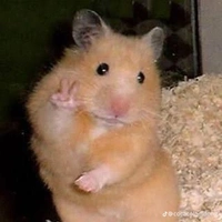 hệ thống hamster 