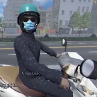 ninja leed