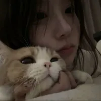 Lâm A Như
