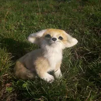 Ward