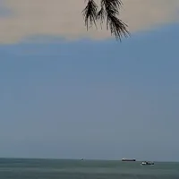 All nhóm Jay