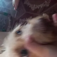 Vinny & Hyuk