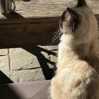 Winnie