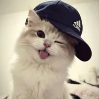 all