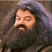 Rubeus Hagrid