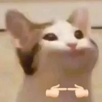 T/g