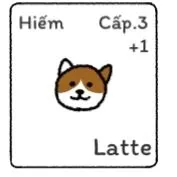 Latte