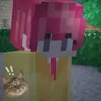 𝐻𝑖ℎ𝑎
