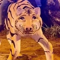 hệ thống 401
