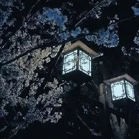 Kayata(HTC+T/g)