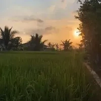 Sun(Trợ lý HTC)