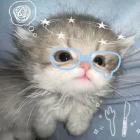 t/g ko bt viết ngược