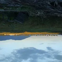 T/g