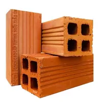 Cục gạch nghị lực