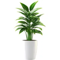 Chậu cây nghị lực