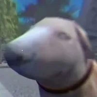 Cậu vàng 🐶