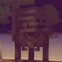 Wither skeleton(Mxđ)
