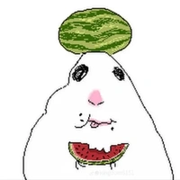 t/g
