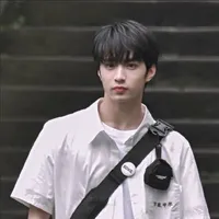 Lưu Diệu Văn(Anh)