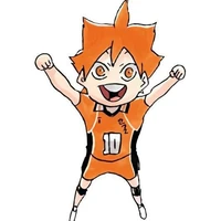 Shoyo Hinata