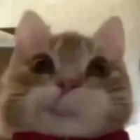 t/g