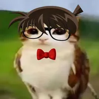 kudo skibidi(fake,t/g)