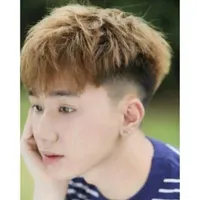 bách việt