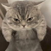 t.g cọc tính nhất thế giới😈😈