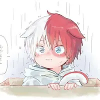 mèo shoto