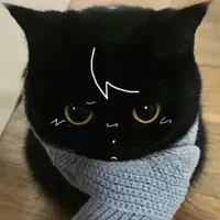 tg mèo