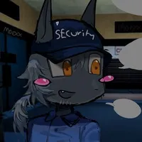 security [ bảo vệ ]