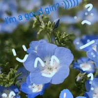 T/g (me)